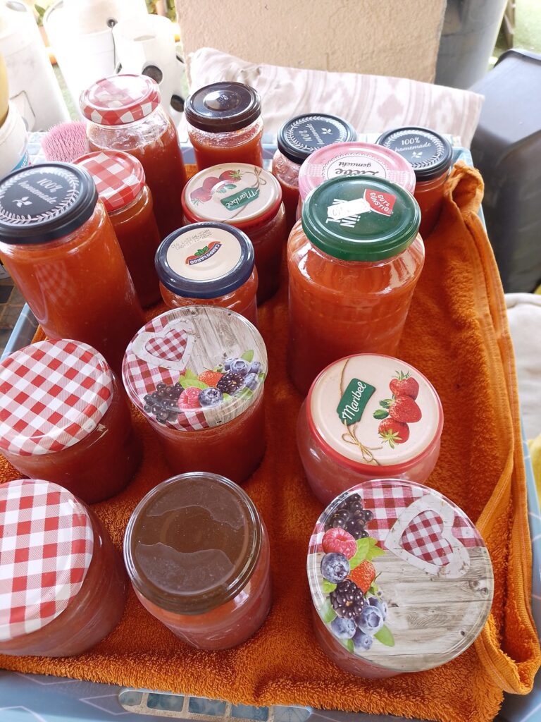 Eingekochte Tomaten in verschiedenen Gläsern