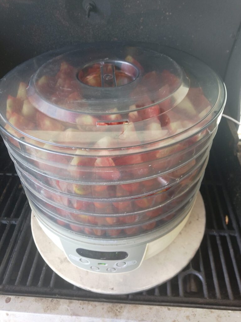 Tomatenstücke im Dörrautomaten für Tomatenpulver